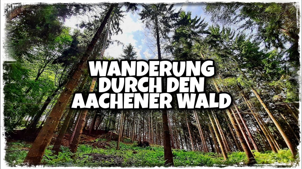 Wanderung durch den Aachener Wald - YouTube