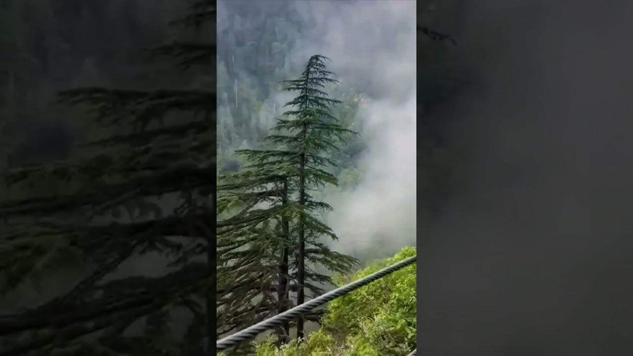 Pipeline track nathia gali, donga gali ayubia tracks