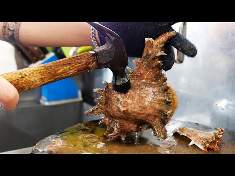 Thai Food - GIANT SEA SNAIL Spiky Conch Bangkok Seafood Thailand  @TravelThirstyBlog