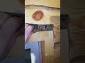 Не правильное утепление усадочного зазора над #окосячка #обсада