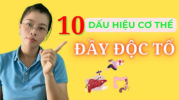 10 dấu hiệu khẩn cấp cho thấy cơ thể TÍCH TỤ ĐỘC TỐ đang LA HẾT cầu cứu | Vikicare