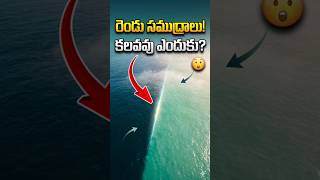 రెండు సముద్రాలు అసలు కలవవు! 😲🌊 #shorts #fact #manafacts #shortfeed