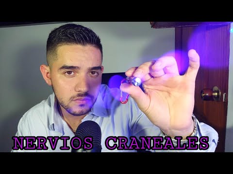 ASMR Roleplay Examen de los  NERVIOS CRANEALES/ASMR en Español