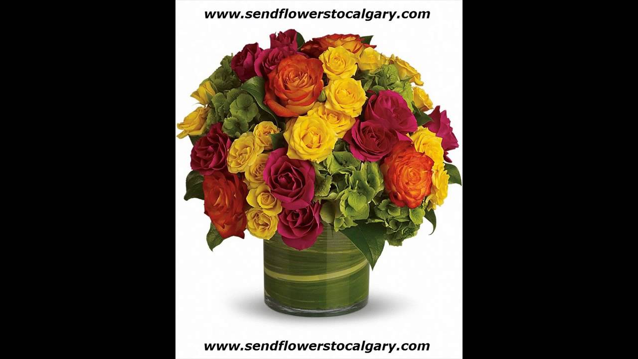 Safeway Flowers Calgary Crowfoot Best Flower Site
