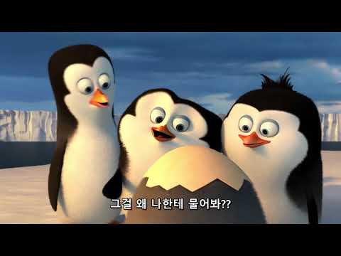 2020 중고등부 겨울피정 2차영상 (마다가스카의 펭귄)