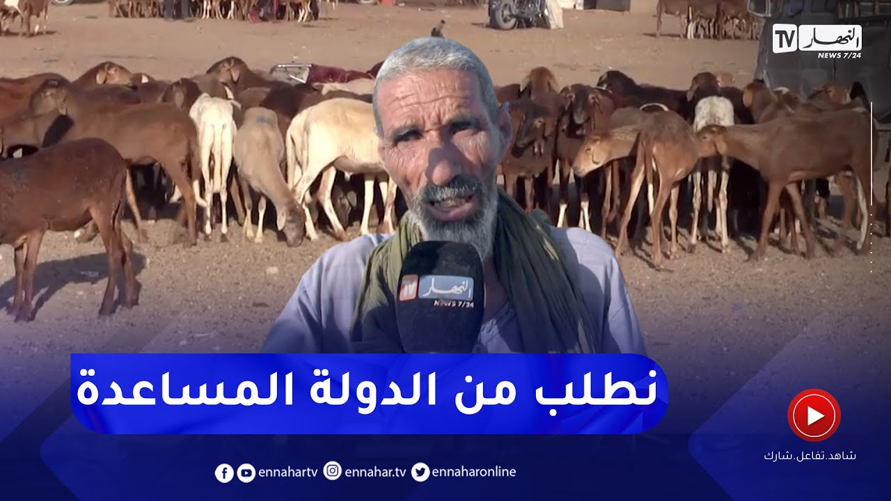 برج باجي مختار: معاناة الموالين في تربية المواشي بالولاية ومطالب بتوفير بياطرة