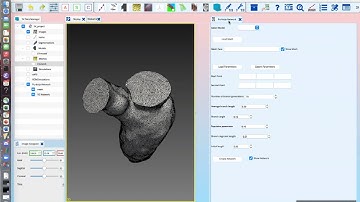 SimVascular Tutorial: Electrophysiology simulations on a Purkinje network