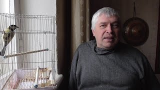 Человек рассказывает про птицы, птица синица, сегодня 14.11.2020 год, Геннадий Горин