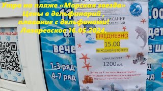 Утро на пляже "Морская звезда",цены в дельфинарий и плавание с дельфинами.🌴ЛАЗАРЕВСКОЕ 16.05.24🌴СОЧИ