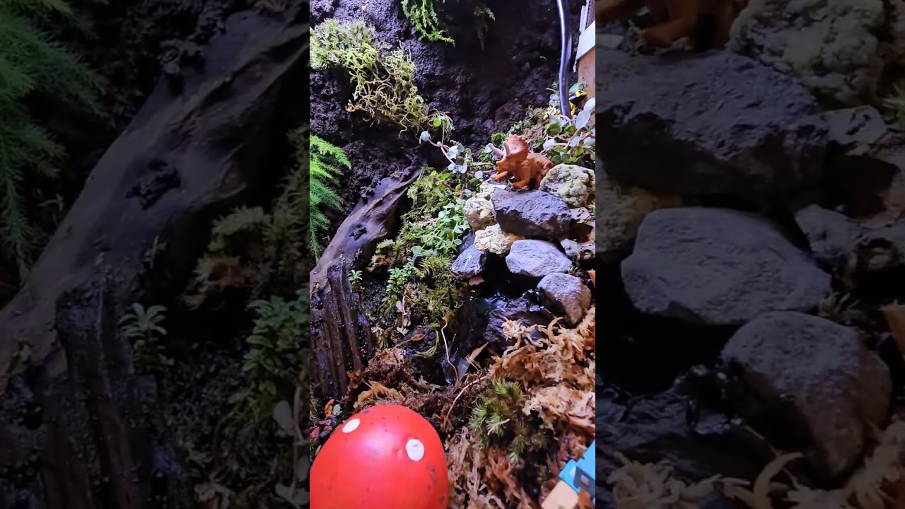 家の中に森を飼うアイドルVTuber #vtuber