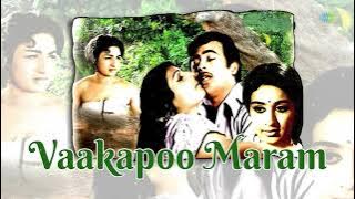 Vaakapoo Maram - Audio Song  | Anubhavam | Vincent, Sheela | A.T. Ummer