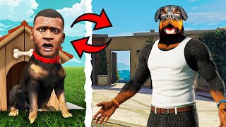 видео: ФРАНКЛИН мен ЧОПТЫҢ ДЕНЕСІ АУЫСЫП КЕТТІ (GTA V) картинка: ФРАНКЛИН мен ЧОПТЫҢ ДЕНЕСІ АУЫСЫП КЕТТІ (GTA V)