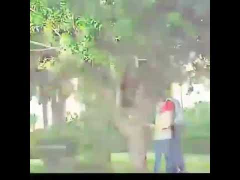 اغنيه اللي جمعنا حب ليه معنى روووعة