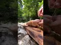 Chicken 🍗 roast freedom outside new easy for home 🏠.