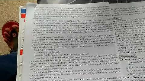 STD 11 English unit 1 read 2 The Wild Saviour part 2