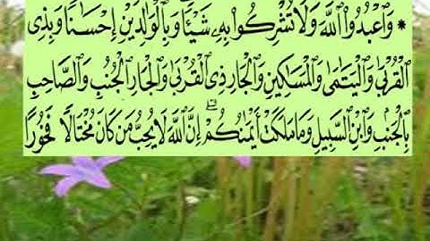 سورة النساء اية ٣٦ جمال القرش