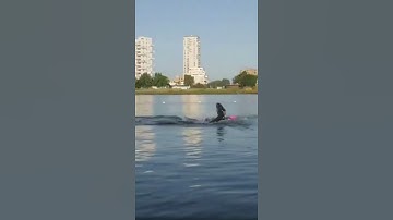 Thumbnail of The Most Perfect Freestyle I’ve Seen In Ironman