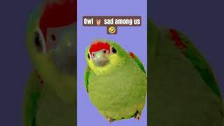 owl 🦉 sad among us🤣| #funnymemes #memes #magic #trend
