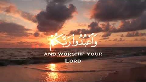 سورة الحج آيه ٧٧ {يا آيها الذين آمنوا اركعوا واسجدوا}