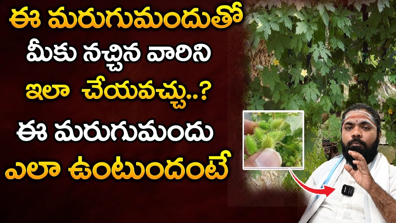 మరుగు మందు పెట్టిమనిషిని  | Brahmashri Vennampally Nishant Sharma Avadhani | Raj Bhakthi Tv