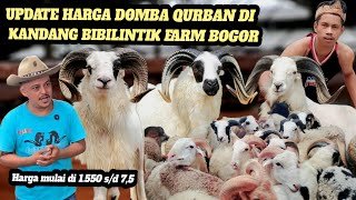 HARGA DOMBA GARUT TERKINI..!!! MENJELANG IDUL ADHA 2026
