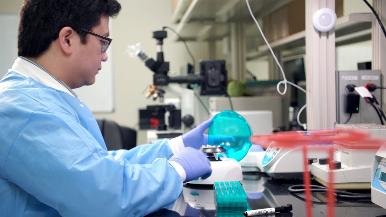 We can starve cancer cells