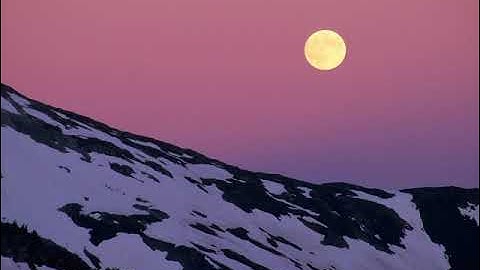 سورة فاطر بصوت القارئ محمد عثمان عدرة