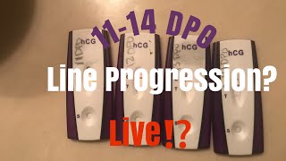 Best Of Early Pregnancy Tests Walmart Free Watch Download Todaypk Best Of Early Pregnancy Tests Walmart Free Watch Download Todaypk