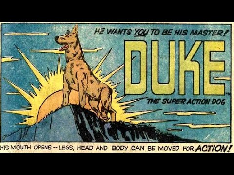 Duke The Super Action Dog