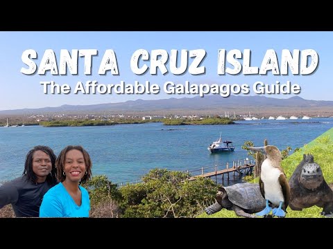 The Galapagos Islands on a Budget - The Most Affordable Activities on SANTA CRUZ ISLAND