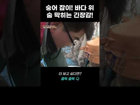숭어 잡이! 바다 위 숨 막히는 긴장감! | 리얼다큐 숨