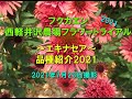 【エキナセア】 西軽井沢フラワートライアル2021夏　エキナセア　品種紹介　福花園種苗株式会社