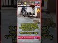 #Dog #Dogs #SmartDog #FunnyDogs #DogLover #AnimalRescue #CuteDogs #ViralVideo #Trending #Shorts