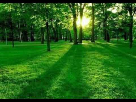 فوالله لا أستطيع البعد ساعه فكيف وقد مرت علي شهوروا