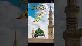 islamic vidoes