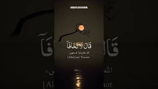 Quran Recitation#status#quran#recitation#tilawat#viral#islamic#quranrecitation