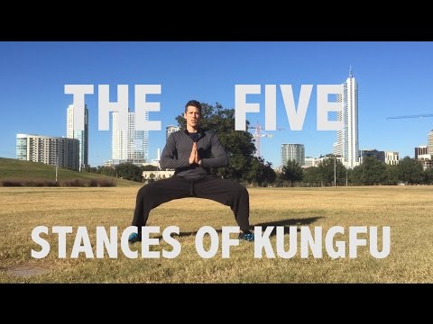 Kung fu Stances EXPLAINED with Kungfunerd