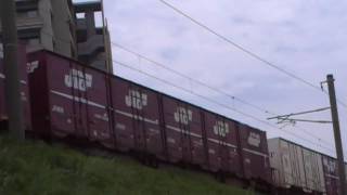 貨物列車 4083レ EF81