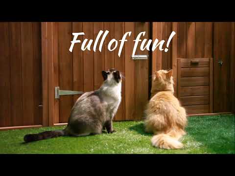 meow manor cat enclosure