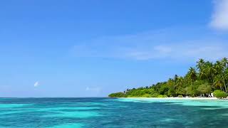 Bitte Nicht Erschrecken Ab 18 Ok Sau Geil