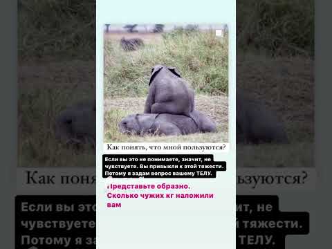 Больше видео на канале