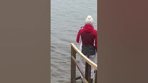 EPIPHANY BATHING 2025 #1520 SWIMMING WINTER #bathing #ice #swimming #baptism #epiphanybathing