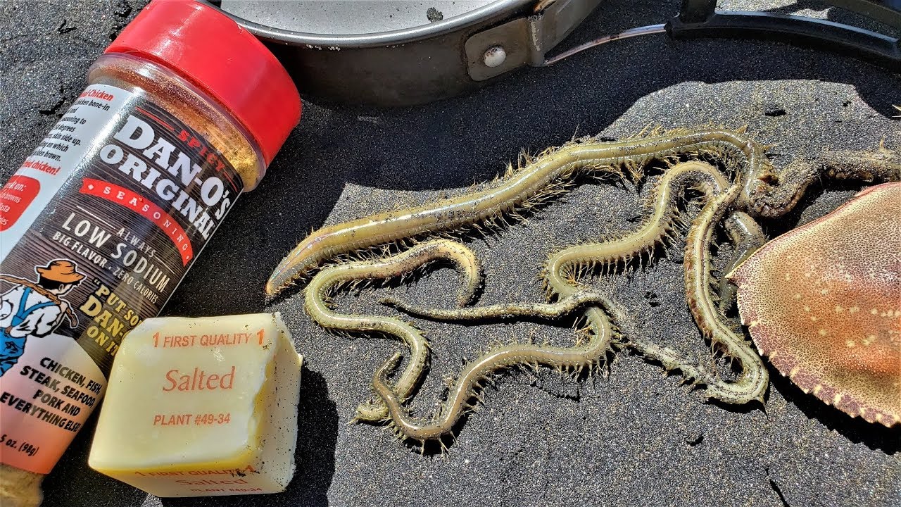 Weird Foods! Would you eat these SANDWORMS?? You'd be surprised! 