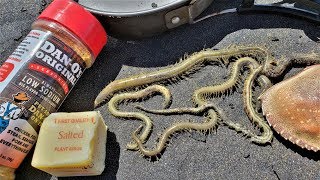 Weird Foods!  Would you eat these SANDWORMS?? You'd be surprised!