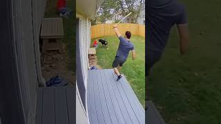 CCTV Footage: Man Saves Child From Rottweiler Attack#DogAttack #CCTV #Shorts