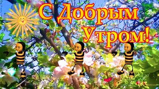 ДОБРОЕ УТРО! Прекрасного дня☀️ С ДОБРЫМ УТРОМ ☕ Бодрого утра☀️ Удачного дня и чудесного настроения!