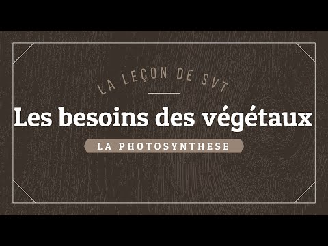 Vidéo: La vie peut-elle exister sans photosynthèse ?