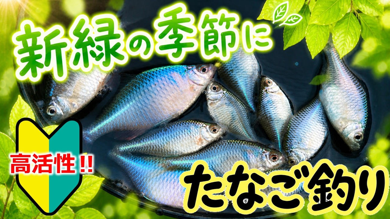 【高活性！新緑の季節】たなご釣り