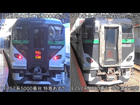 E257系5500番台　富士回遊 愛称表示あり】特急「富士回遊」臨時便の車両がE257系5500番台に