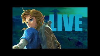 [PTBR/EN] Hyrule Warriors: Age of Imprisonment (Parte 7)